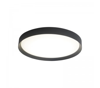 Lubinis šviestuvas MINSK BLACK 40